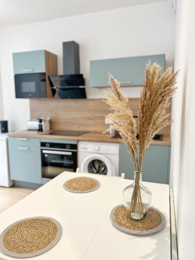 Appartement Le Pique De Falguiere - Centre - Gare - Netflix *